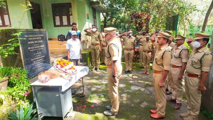 Forest departments trained dog to find sandalwood dies in Idukki Marayoor Forest departments trained dog to find sandalwood dies in Idukki Marayoor