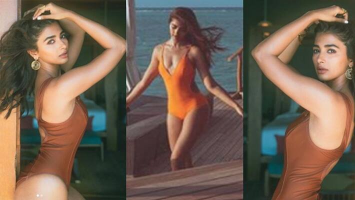 actress pooja hegde photos actress pooja hegde photos