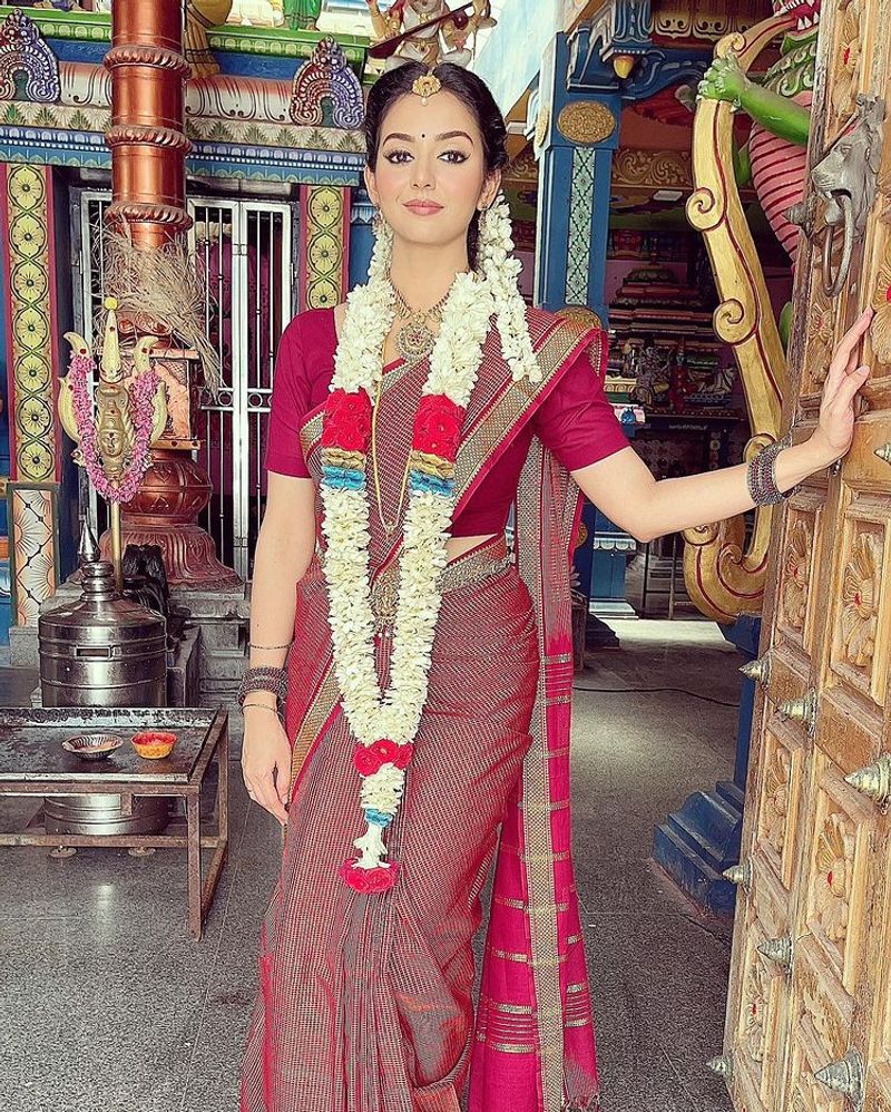 nayagi serial heroine vidya pradeep getting married? shocking photos