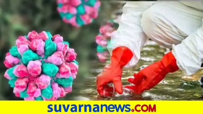 Norovirus Alert In Mangaluru nodal officers at Karnataka Kerala border dpl Norovirus Alert In Mangaluru nodal officers at Karnataka Kerala border dpl