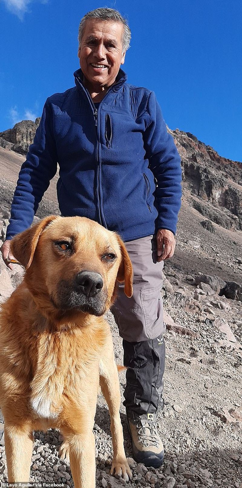 30 climbers rescues a lone dog from 5000 foot high volcano