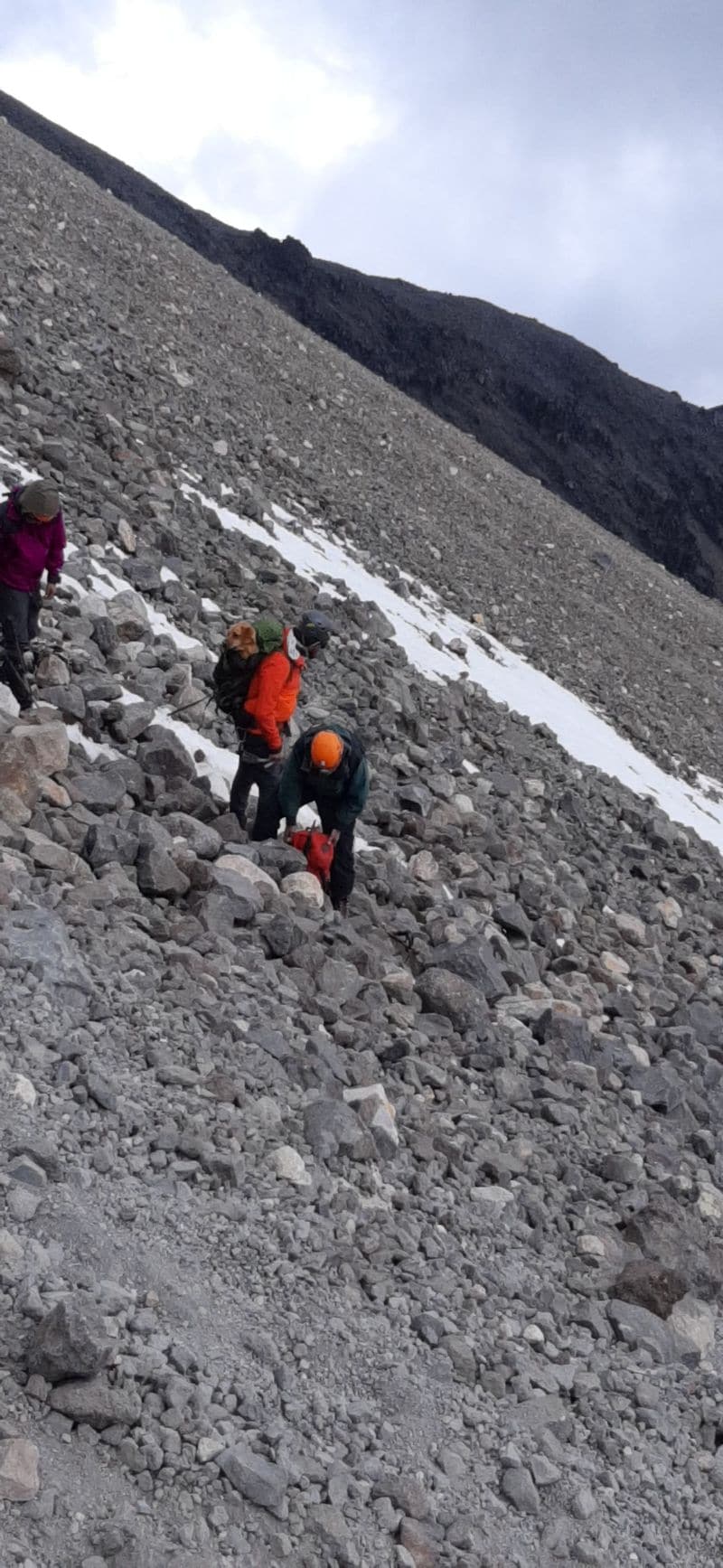 30 climbers rescues a lone dog from 5000 foot high volcano