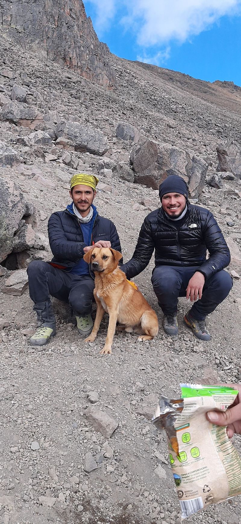 30 climbers rescues a lone dog from 5000 foot high volcano