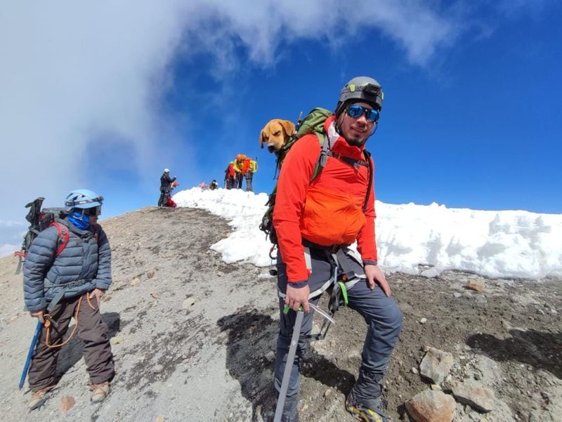30 climbers rescues a lone dog from 5000 foot high volcano