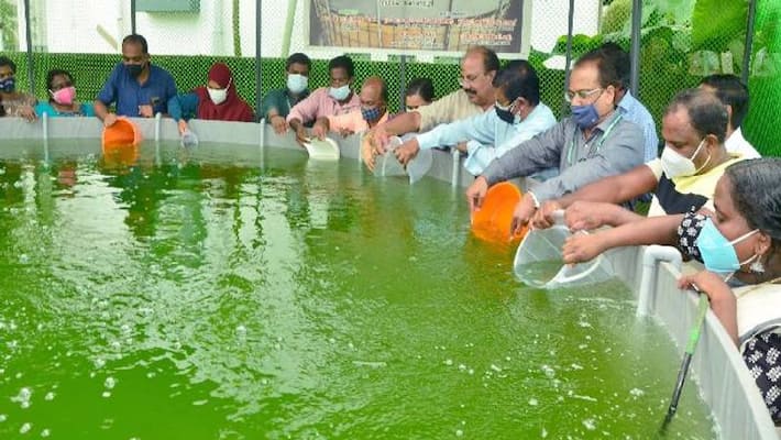 modern fish farming in 23500 ltr water tank modern fish farming in 23500 ltr water tank