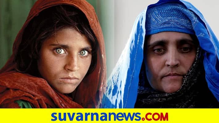 Nat Geo Green Eyed Girl Most Famous Afghanistan Refugee Sharbat Gula now In Italy dpl Nat Geo Green Eyed Girl Most Famous Afghanistan Refugee Sharbat Gula now In Italy dpl