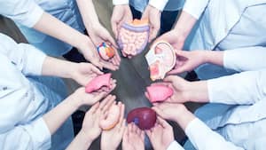 National Organ Donation Day 2021: अंगदान करके 8 लोगों की जान बचा सकता है 1  इंसान, जानें इसकी पूरी प्रोसेस | National Organ Donation Day 2021: know all  details and process of Organ Donation dva