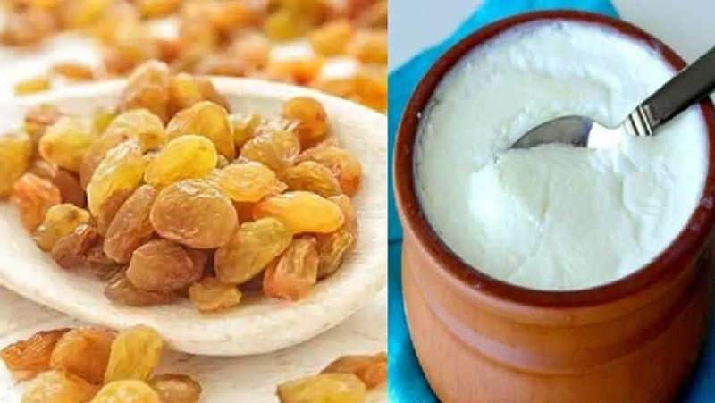 health tips: From Constipation to men power, know the benefits of Raisin Curd dva