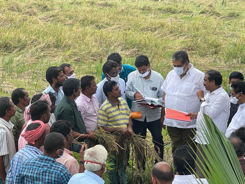 Agriculture Minister Kannababu visit to flood affected areas in andhrapradesh