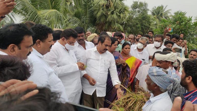 Agriculture Minister Kannababu visit to flood affected areas in andhrapradesh