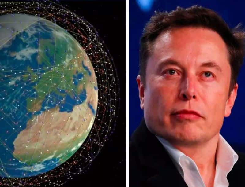 Elon Musk Starlink Service: Why  government is appealing to stay away from Musk's company, know the reason