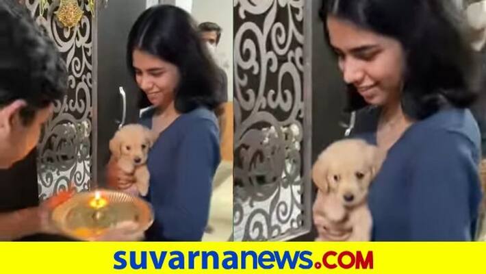Pup gets full desi welcome at home in adorable viral video dpl Pup gets full desi welcome at home in adorable viral video dpl