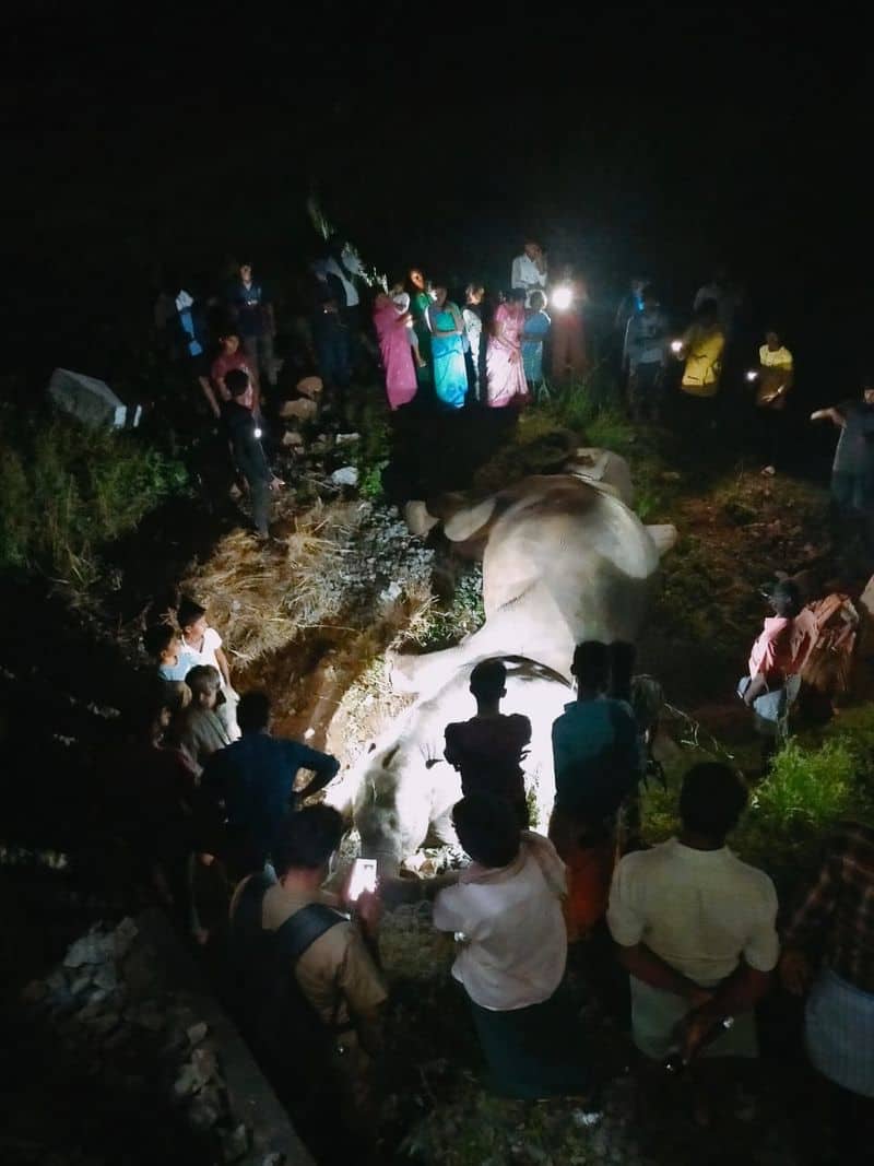 Pregnant Elephant Death