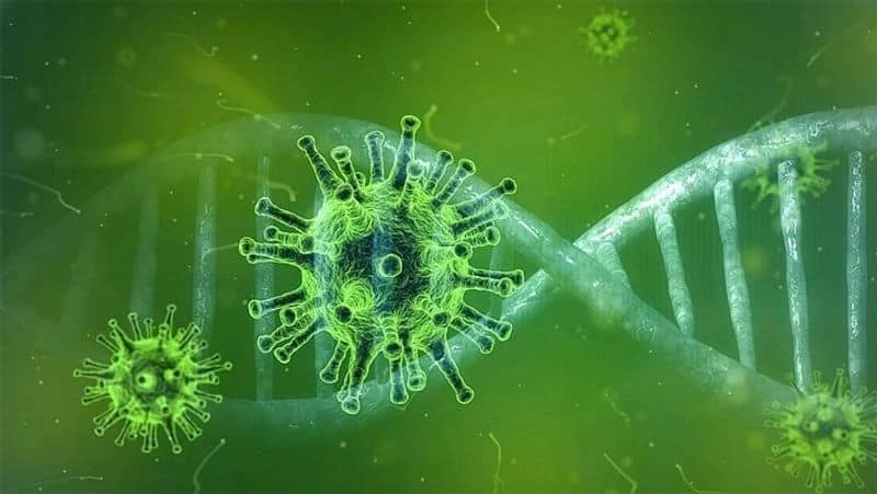 who warns about omicron virus