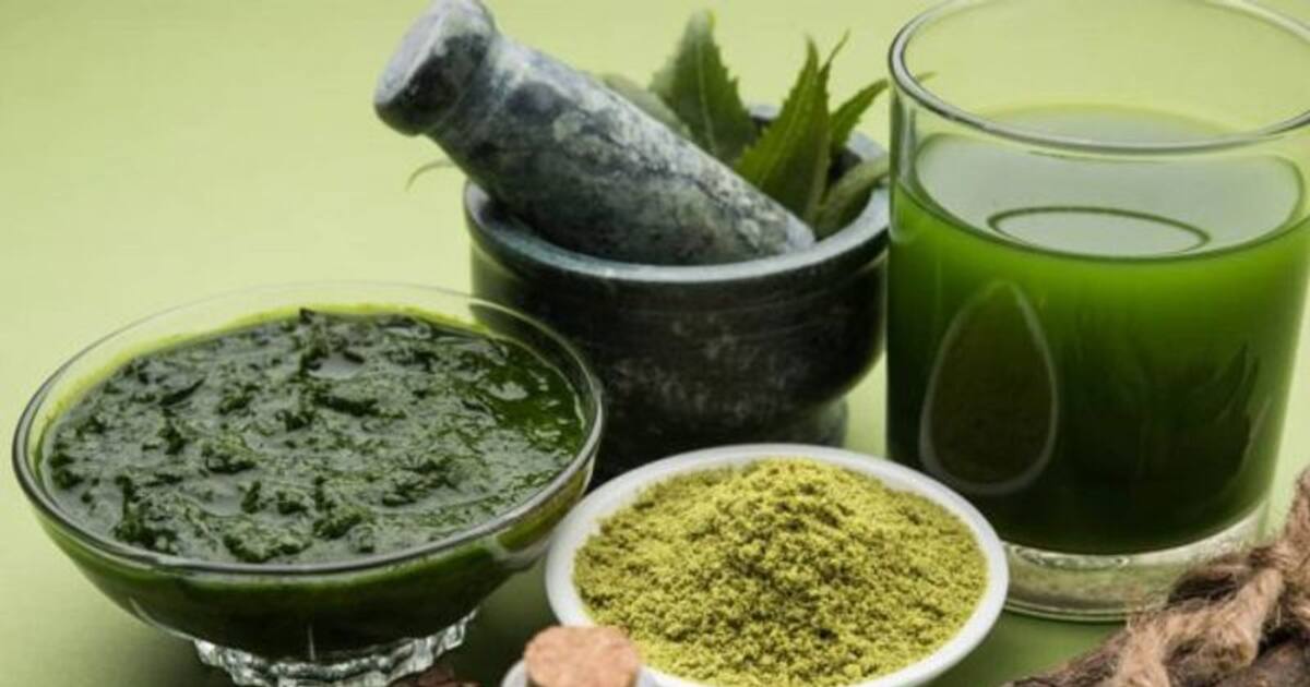 Neem fight corona virus: மக்களின் நம்பிக்கையை உண்மையாக்கிய இந்திய ஆய்வு..! கொரோனாவை  விரட்டும் வேப்பிலை சாறு.!