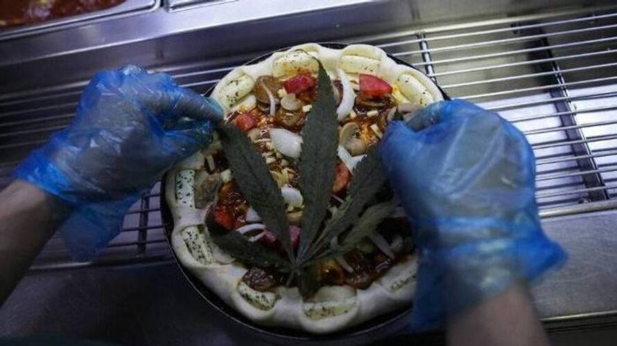 pizza made with cannabis pizza made with cannabis