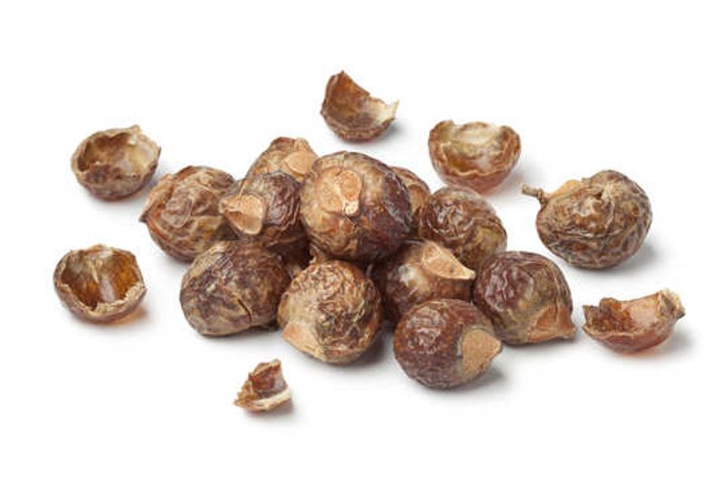 Best kunkudukaya home remedies for good hair fall full details are here