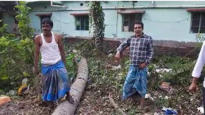 boy died while going to see coconut tree cutting process in New Town bmm boy died while going to see coconut tree cutting process in New Town bmm
