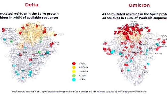 coronavirus new variant spread over 14 countries coronavirus new variant spread over 14 countries