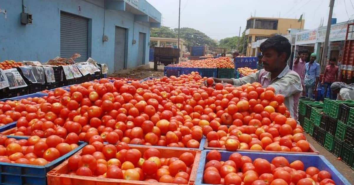 Tomato price :ஷாக்!! சதமடித்த தக்காளி.. விலை உயர்வு காரணம் இதுதான்..!  வியாபாரிகள் கூறுவது என்ன..?