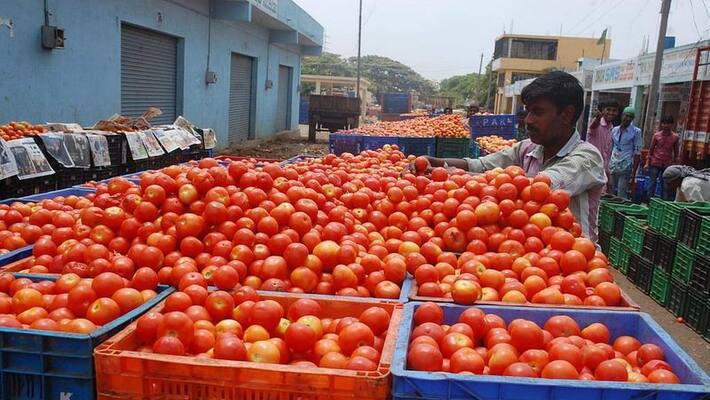 Tomato Retail Price Soars to Rs 140 per kilogram in India Tomato Retail Price Soars to Rs 140 per kilogram in India