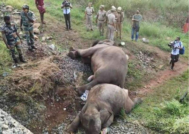 Southern Railway reports on the death of elephants in a train collision in Coimbatore