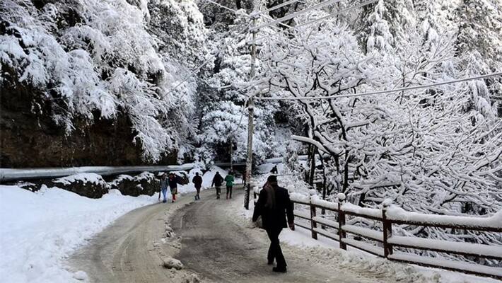 Weather News cold will rise in december snowfall in himachal rain likely in many states Weather News cold will rise in december snowfall in himachal rain likely in many states