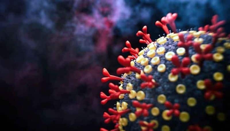 no Omicron coronavirus case in India yet, says Mansukh Mandaviya bpsb