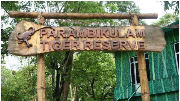 temporary job vacancy Parambikulam Tiger Reserve temporary job vacancy Parambikulam Tiger Reserve