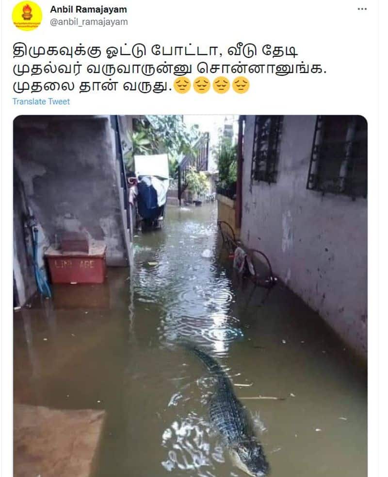 Chennai Rain: Crocodile photo goes viral again