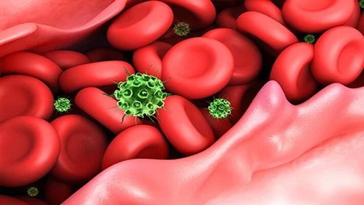 tips to boost immunity tips to boost immunity