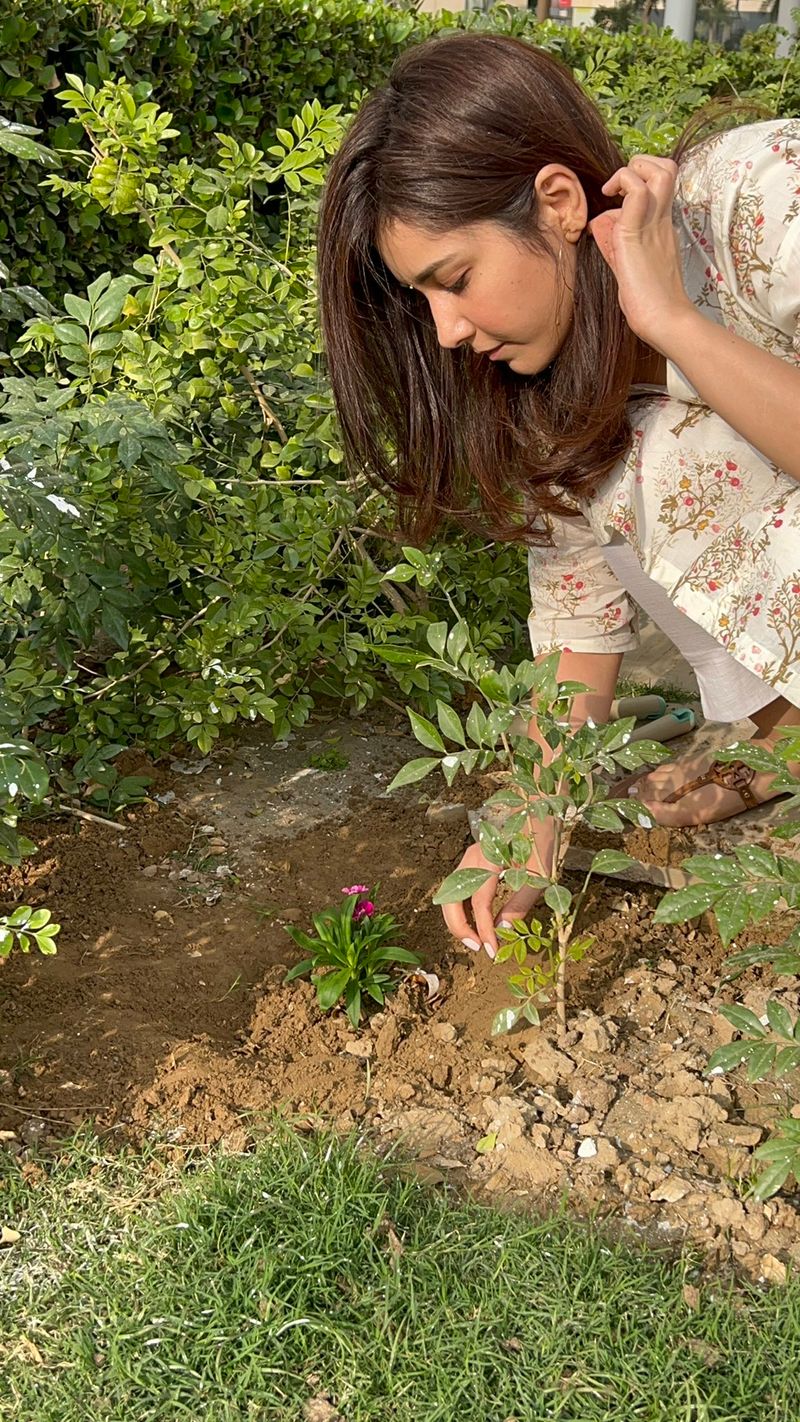 Actress Raashii Khanna Plants Sapling On Her Birthday photo goes viral