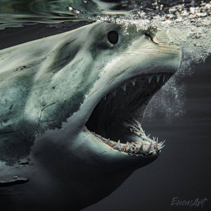 Brutus the most dangerous hunter white shark in the world