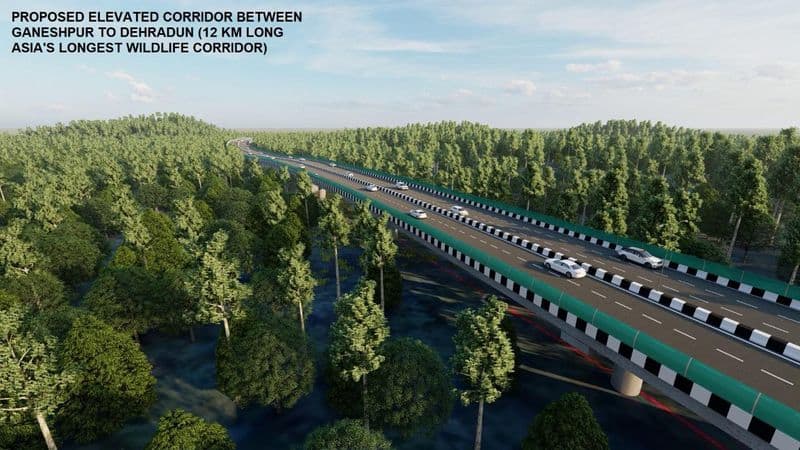 Asia s largest wildlife elevated corridor project Delhi-Dehradun Economic Corridor