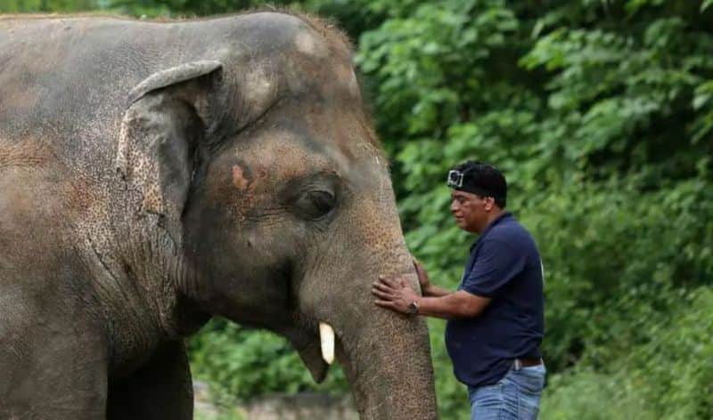 Kaavan is no longer the loneliness elephant in the world