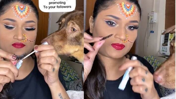Cutest pet Dog try to be a makeup artist viral video on internet ckm Cutest pet Dog try to be a makeup artist viral video on internet ckm