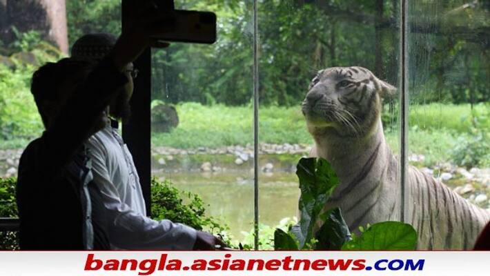 Alipore Zoo introduce month-long adoption of animals ALB Alipore Zoo introduce month-long adoption of animals ALB