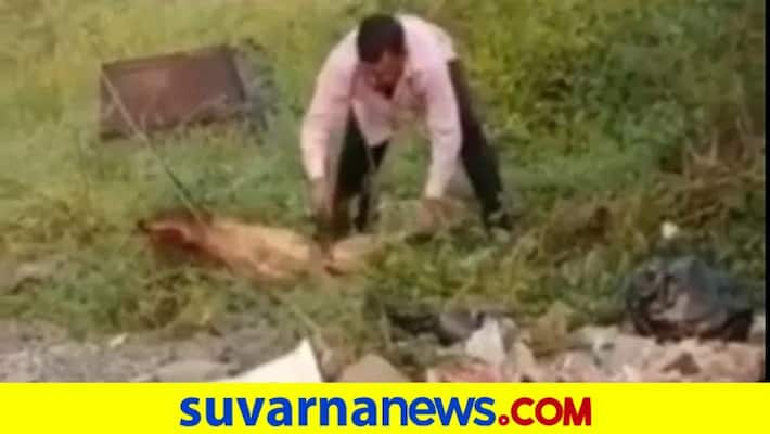 MP man cuts dog to pieces as revenge for mauling his son face video goes viral pod MP man cuts dog to pieces as revenge for mauling his son face video goes viral pod