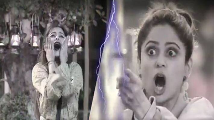 Bigg boss 15 shamita shetty and devoleena bhattacharjee cat fight watch video NTP Bigg boss 15 shamita shetty and devoleena bhattacharjee cat fight watch video NTP