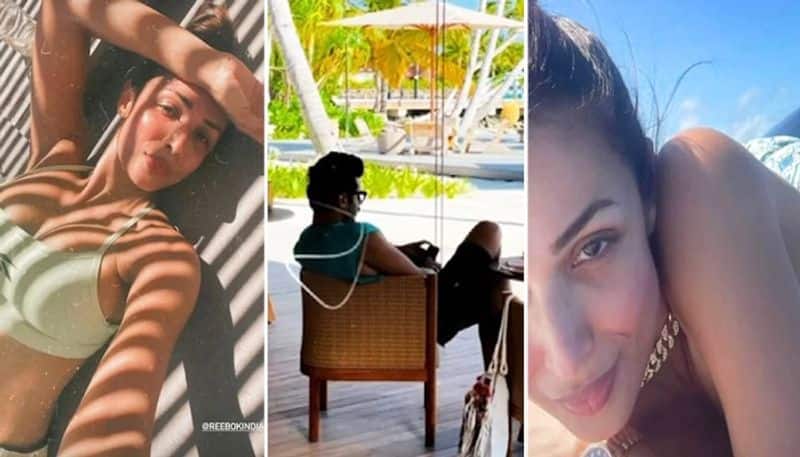 Malaika Arora chills in bikini; Arjun Kapoor enjoys view of Maldives' beach (Pictures) RCB