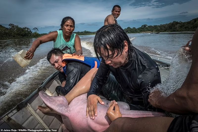 peoples choice award Natural History Museum s Wildlife Photographer of the Year Award