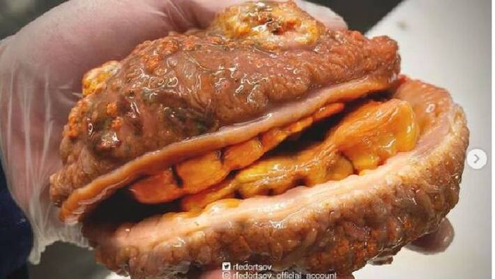 Fish looks like Cheeseburger found Fish looks like Cheeseburger found