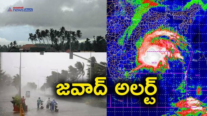 Hurricane Jawad looming .. High alert in AP Hurricane Jawad looming .. High alert in AP
