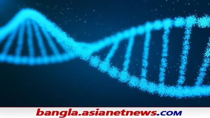 How genome sequencing revolutionize Healthcare to agriculture sector ALB How genome sequencing revolutionize Healthcare to agriculture sector ALB