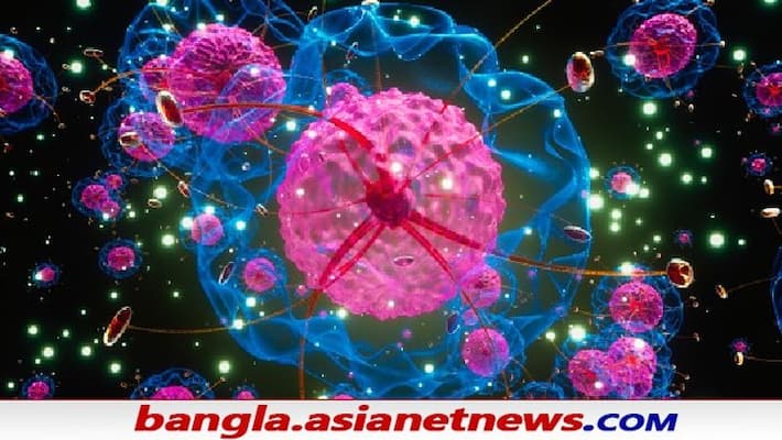 Covid 19, Trigger of rare blood clots with AstraZeneca jab found by scientists ALB Covid 19, Trigger of rare blood clots with AstraZeneca jab found by scientists ALB