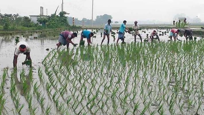 Jawad alert issued in Murshidabad, administration active in crop protection bmm Jawad alert issued in Murshidabad, administration active in crop protection bmm