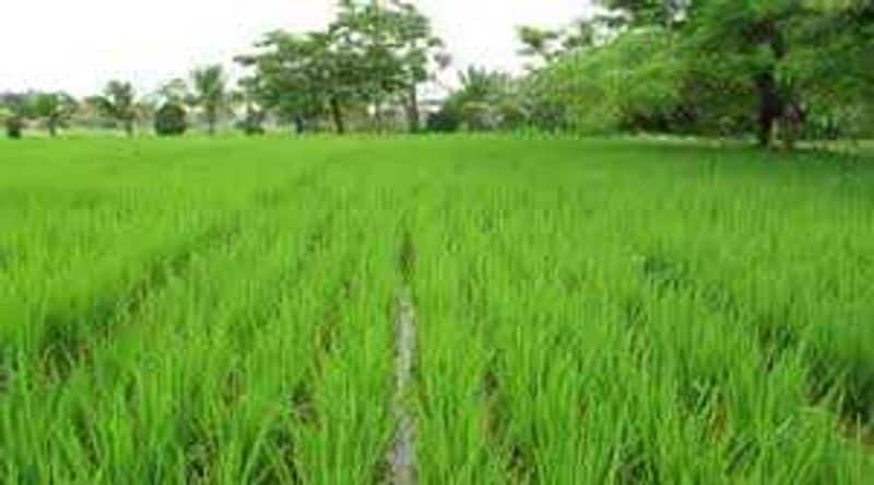 Jawad alert issued in Murshidabad, administration active in crop protection bmm