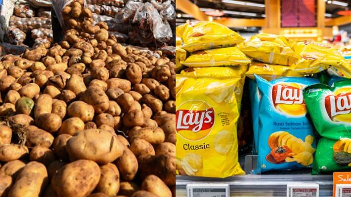 PepsiCo lose patent for Lays Chips FC5 Potato Variety PepsiCo lose patent for Lays Chips FC5 Potato Variety