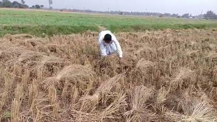 possibility of loss in agriculture due to heavy rain for Jawad bmm possibility of loss in agriculture due to heavy rain for Jawad bmm