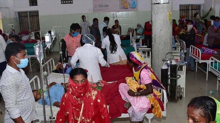 Madhya Pradesh news 49 school children ill consuming poisonous fruit in seoni Madhya Pradesh news 49 school children ill consuming poisonous fruit in seoni